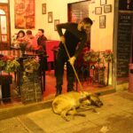Man_brushes_a_dog_outside_a_cafe,_Hocazade_Sokak,_Cihangir,_Istanbul
<span class="bsf-rt-reading-time"><span class="bsf-rt-display-label" prefix="Reading Time"></span> <span class="bsf-rt-display-time" reading_time="4"></span> <span class="bsf-rt-display-postfix" postfix="mins"></span></span><!-- .bsf-rt-reading-time -->