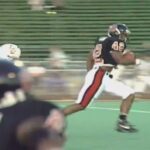 NFL-player LeShon Johnson convicted in federal Dogfighting case